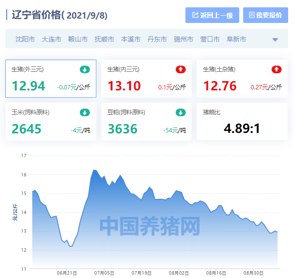 辽宁猪价最新行情解析