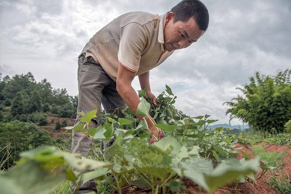 北京疫情最新数据，全面应对，守护首都安全