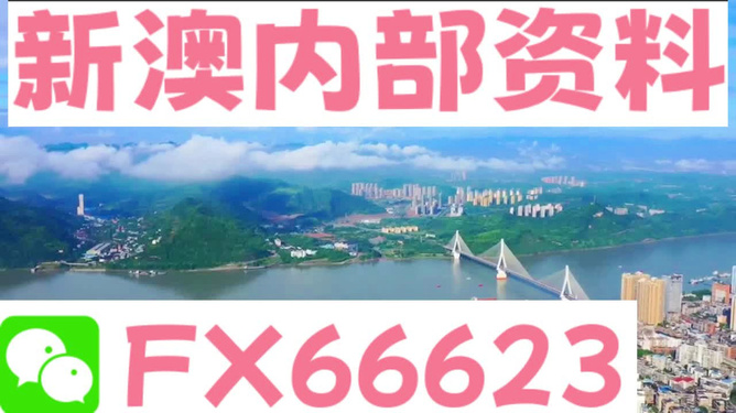 新澳精准资料免费提供网站,正确解答落实_LT31.342