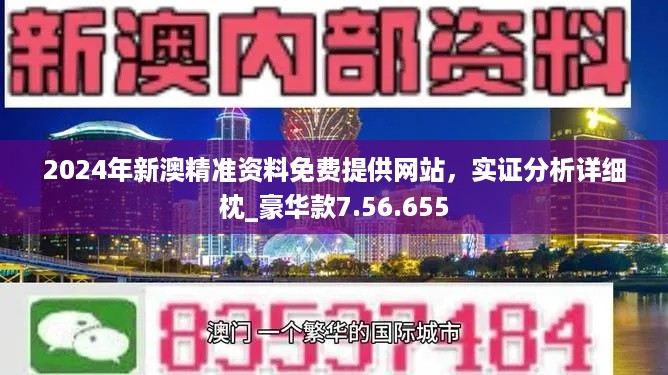 新澳正版资料免费大全,战略性实施方案优化_VIP32.730