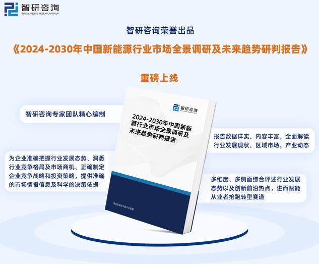 2024新奥精准正版资料,全面数据解释定义_3K43.680