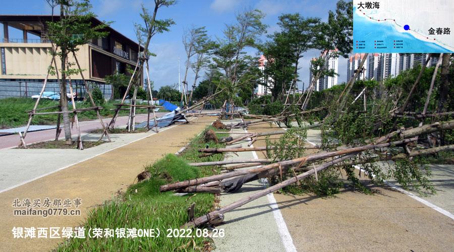 北海台风最新动态，路径、影响与应对之策