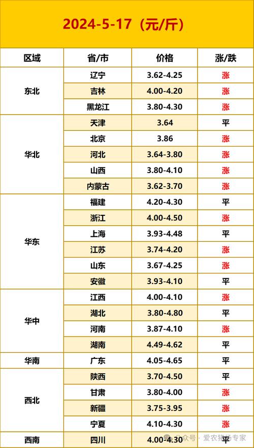 今日蛋价分析，最新价格动态及未来展望